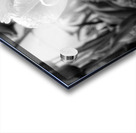 DSC 7270 1 Acrylic print