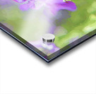 DSC 6451 1 studio Acrylic print