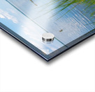 5 DSC 2161 1 Acrylic print