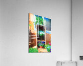 DSC 2364 3 Edit Edit Acrylic Print