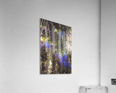 DSC 2636 studio Acrylic Print