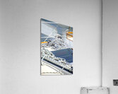  2042 1 Acrylic Print