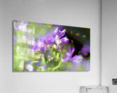 DSC 6451 1 studio Acrylic Print