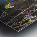 DSC 2636 studio Metal print