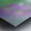 DSC 7644 1 Metal print