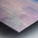 DSC 0076 Metal print