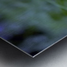 DSC 7633 1 Metal print