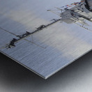 Family Photos 01 1575 Metal print