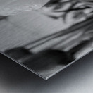 DSC 7270 1 Metal print