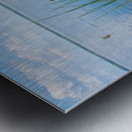 5 DSC 2161 1 Metal print