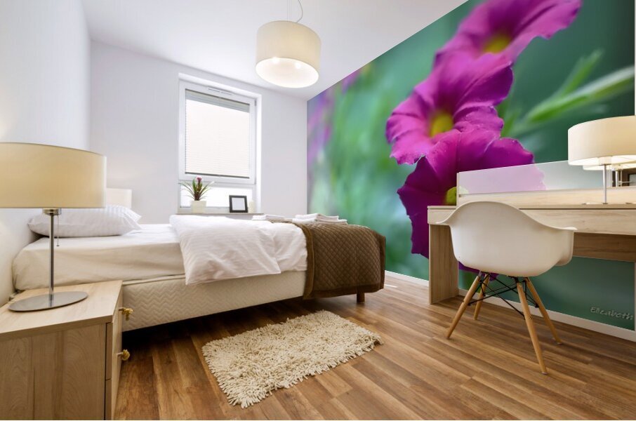 DSC 7644 1 Mural print