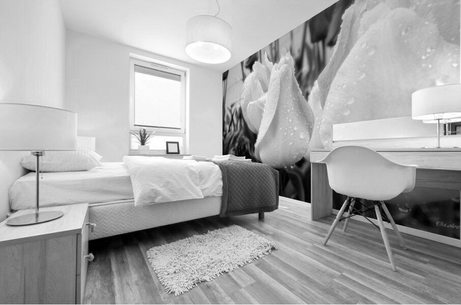 DSC 7270 1 Mural print