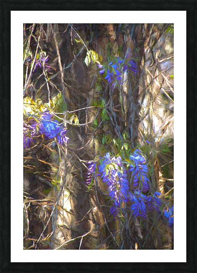 DSC 2636 studio Picture Frame print