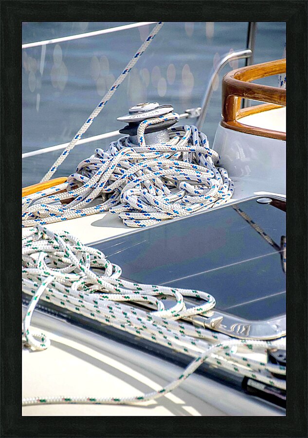  2042 1 Picture Frame print