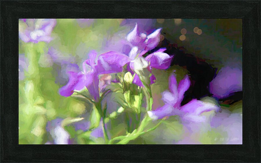 DSC 6451 1 studio Picture Frame print