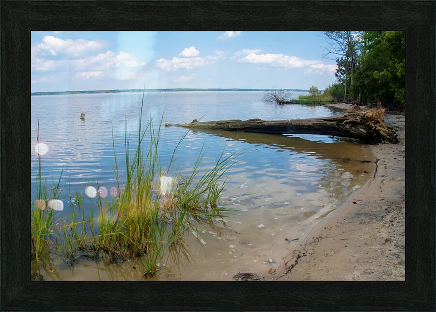 5 DSC 2161 1 Picture Frame print