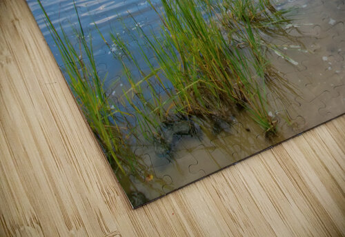 5 DSC 2161 1 Elizabeth Lima Images puzzle