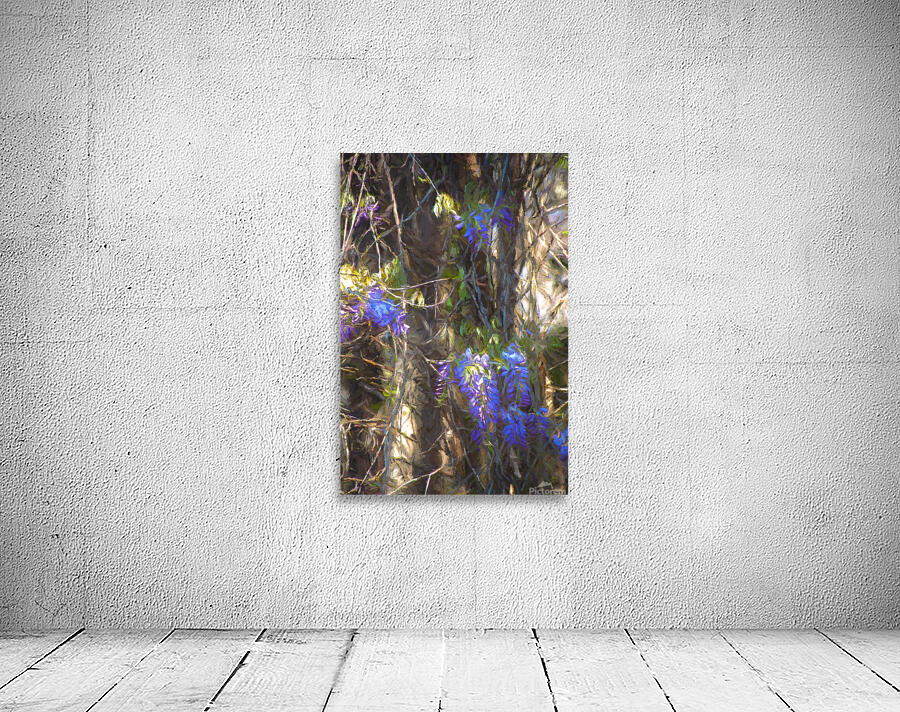 DSC 2636 studio Wall Preview