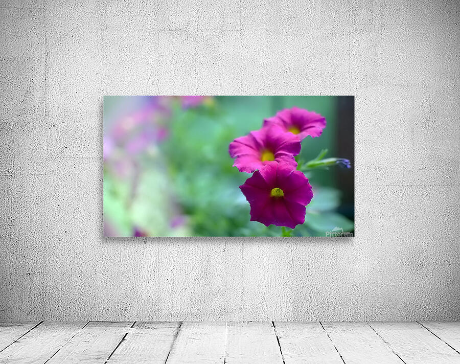 DSC 7644 1 Wall Preview