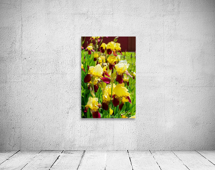 DSC 6499 1 2 Wall Preview