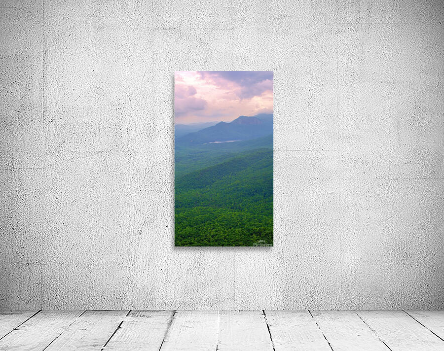 DSC 0076 Wall Preview