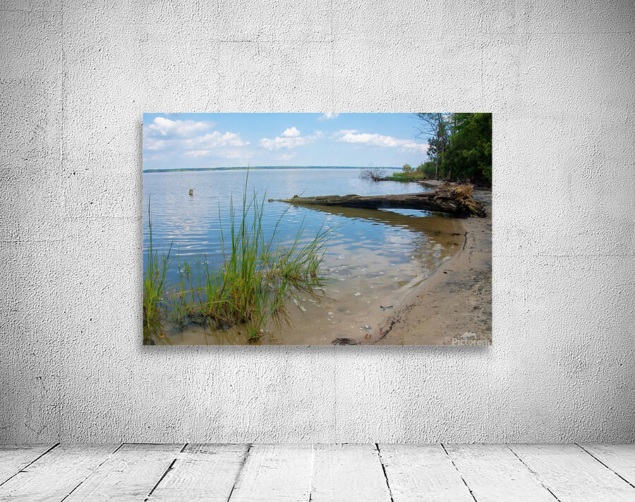 5 DSC 2161 1 Wall Preview