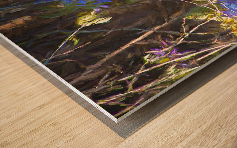 DSC 2636 studio Wood print