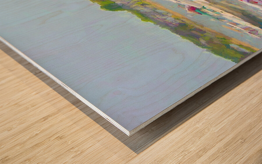 DSC 2815 studio Wood print