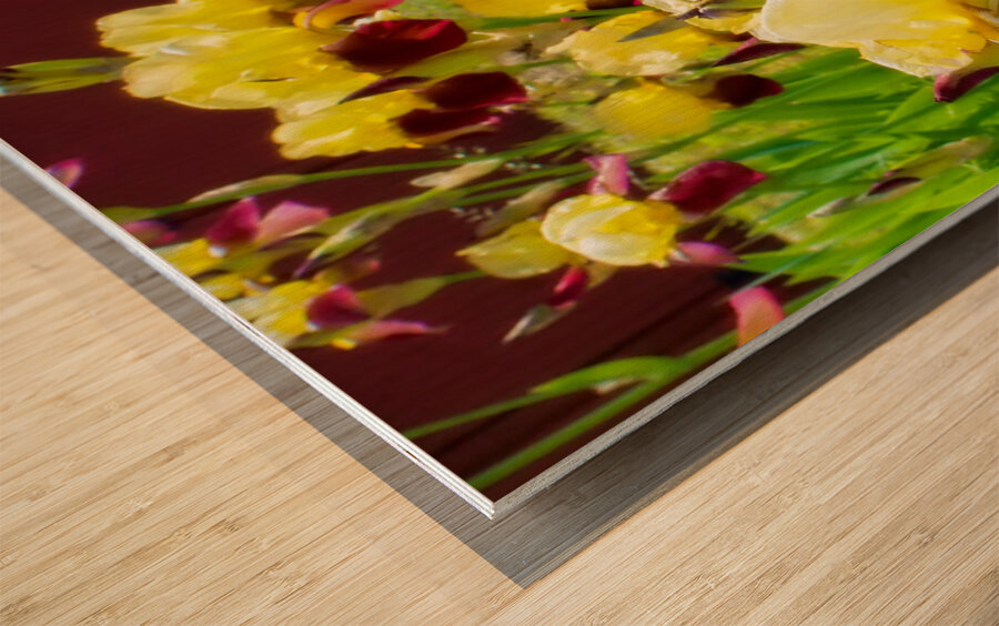 DSC 6499 1 2 Wood print