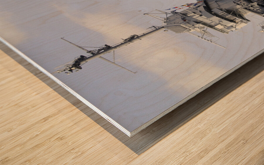 Family Photos 01 1575 Wood print