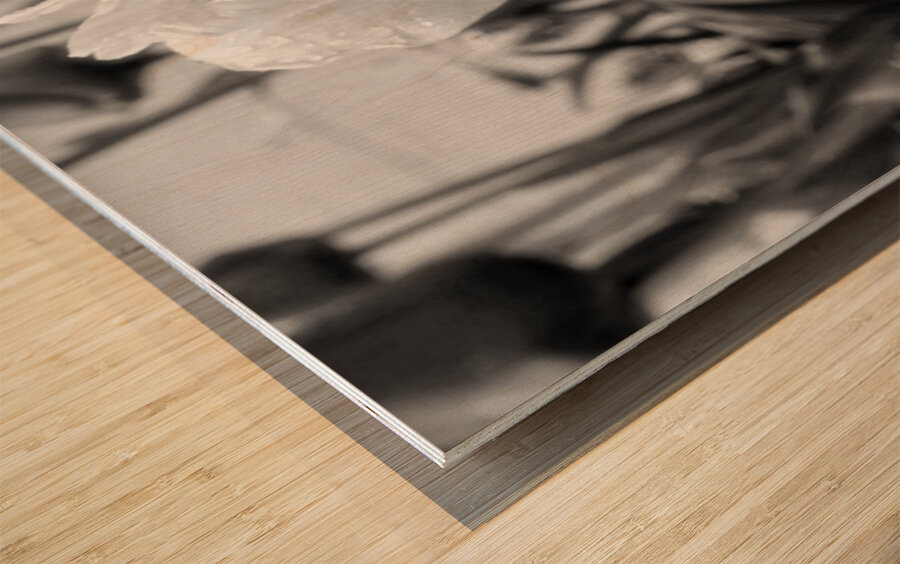 DSC 7270 1 Wood print