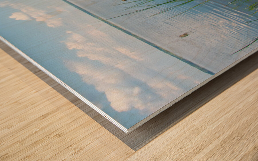 5 DSC 2161 1 Wood print