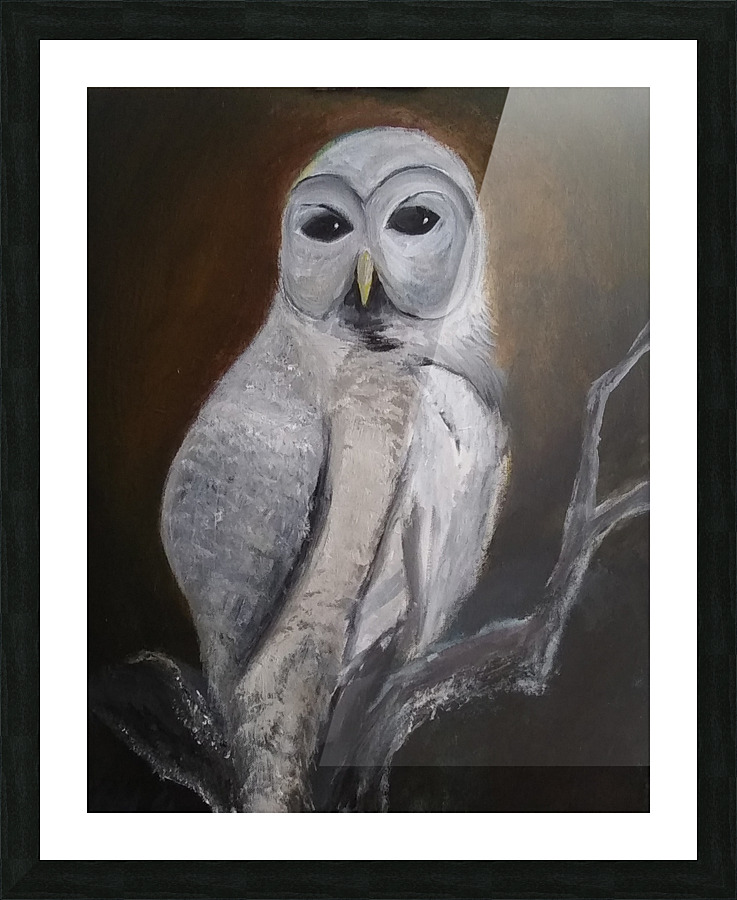 Barn owl Picture Frame print