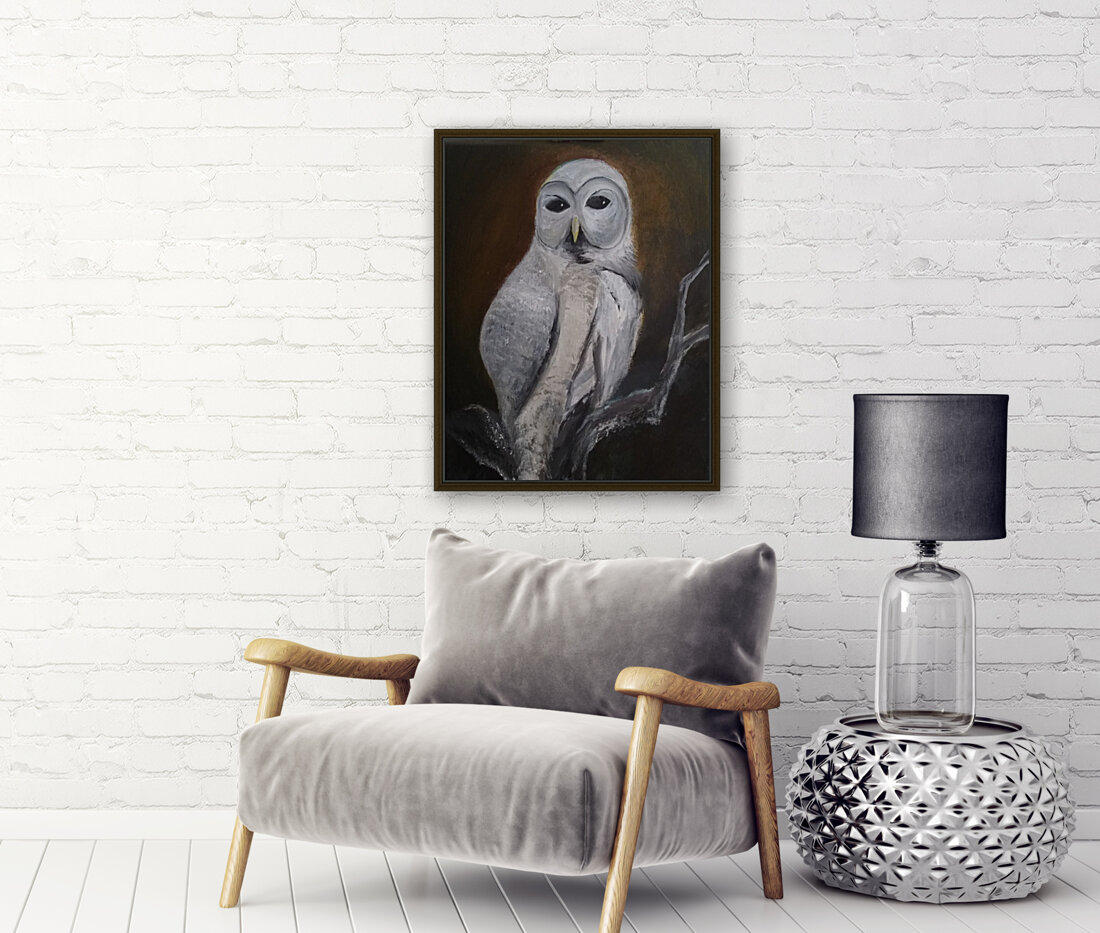 Barn owl Reproduction
