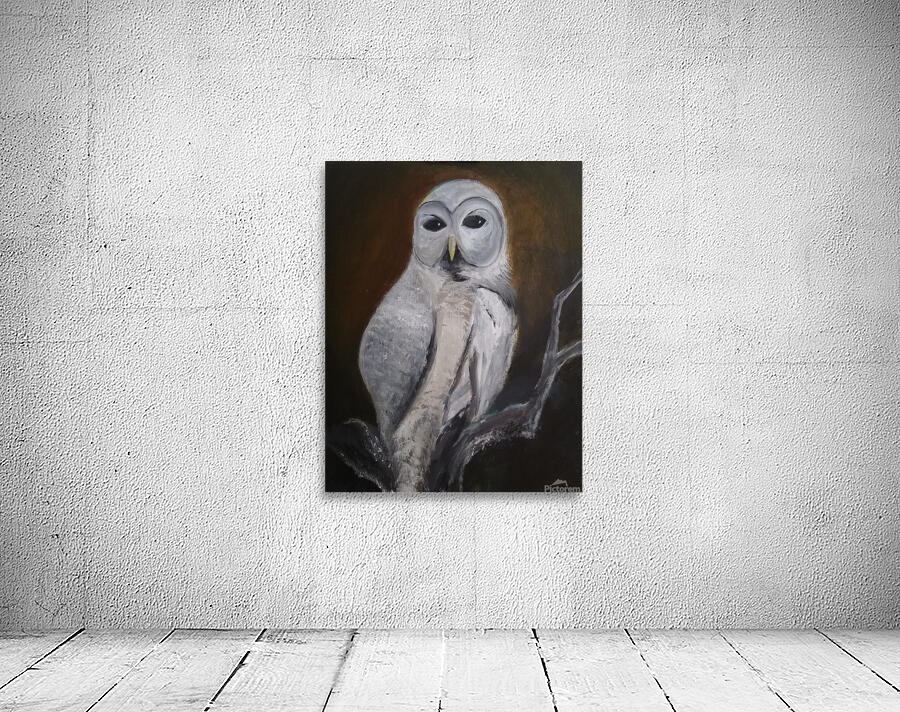 Barn owl Wall Preview