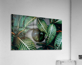  11 Impression acrylique
