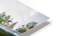 Z92 9052 HD Metal print