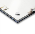 Walking in the Park Acrylic print