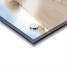 Two Tracks Acrylic print