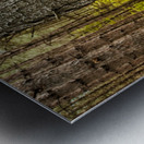 This Way Metal print