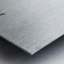 Walking in the Park Metal print