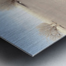 Two Tracks Metal print