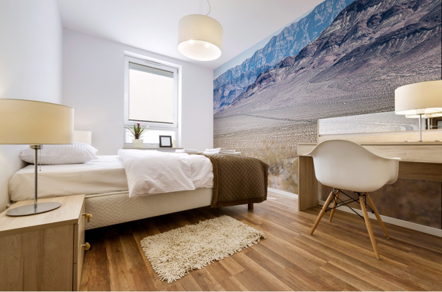 Death Valley Landscape Mural print