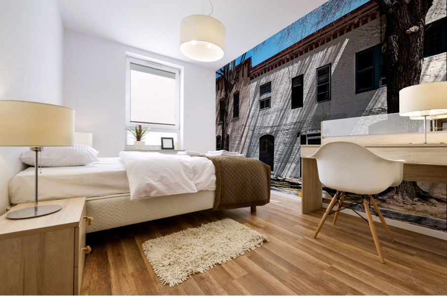 Shadow on a Wall 2 Mural print