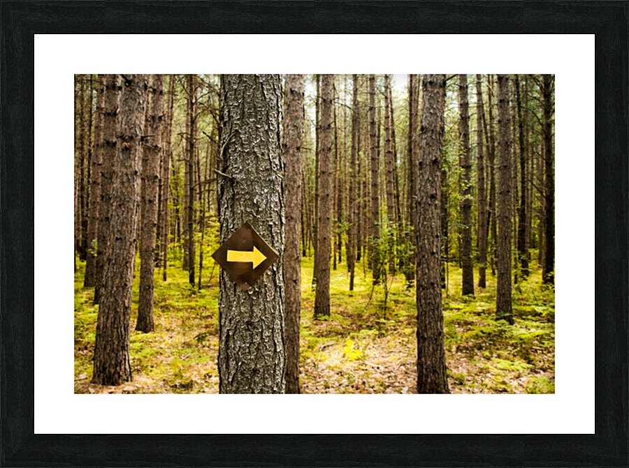 This Way Picture Frame print