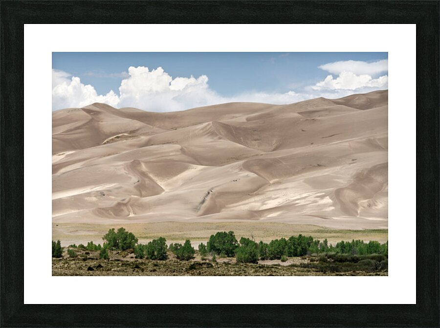 Dunes 2 Picture Frame print