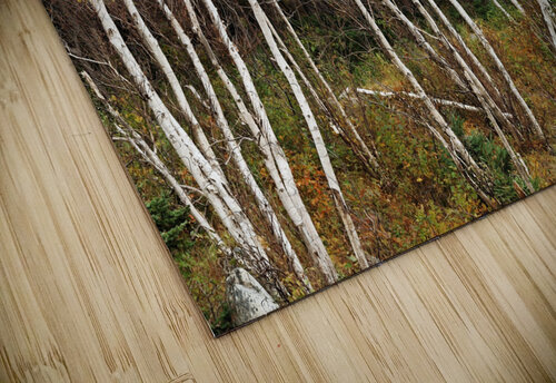 Autumn Landscape 3 Mark Schacter puzzle