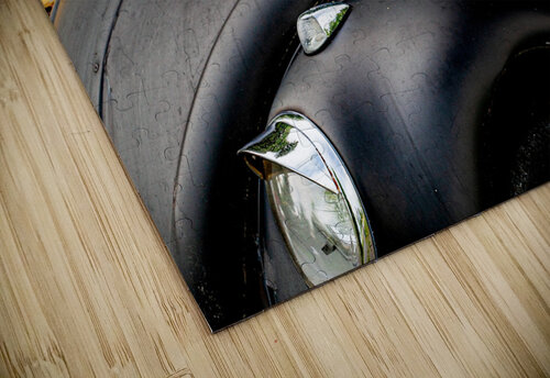 Beetles Mark Schacter puzzle