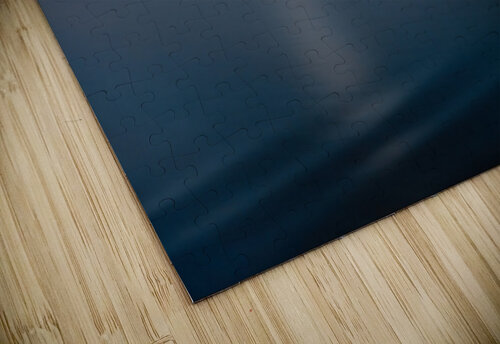 Moonlight Mark Schacter puzzle