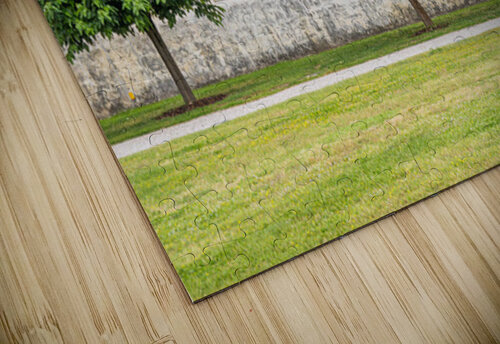 Three Trees Mark Schacter puzzle